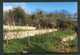 Photo-carte Années 2010 "Les Vignes à Fontenay-sous-Bois" Vigne - Vin - Viticulture - Raisin - Val-de-Marne - Fontenay Sous Bois