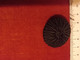 Decor Bouton Mercerie Ancienne  Noir - Buttons