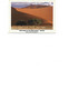 Namibia-Postcard Used 2002-Namib Desert-Towering Sand Dunes Dwarf Camelthorn Trees Between Sesriem And Sossusvlei- 2/sc - Namibia