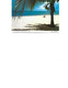 Cayman Islands - Postcard Used 1996 - Seven-Mile Beach II - Grand Cayman  - 2/scans - Kaaimaneilanden