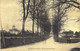 Carte POSTALE  Ancienne De AUTREY Les GRAY - Avenue De St Seine - Autrey-lès-Gray