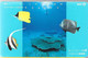 CARTE-MAGNETIQUE-JAPON-105-1988-POISSONS De CORAIL/ REEF-TBE- - Fish