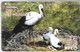 CARTE-MAGNETIQUE JAPON-105-HERONS-1989-TBE - Hühnervögel & Fasanen