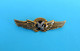 PEGASUS AIRLINES (TurkeyAirline)  -- Old Rare Large Pilot Wings Badge * Airline Airways Plane Avion - Crew Badges