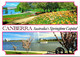 (2 N 17) Australia - ACT - Canberra At Springtime - Canberra (ACT)