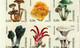 Luxembourg 1/2 Carnet De Timbres-Poste Autocollants (3x0,10 + 3x0,50 Euro) Champignons,Pilze,Mushrooms 2004 - Booklets
