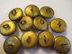 11  Boutons Anciens  Bombés/Militaria/ Enseignement/ Ecole Nationale Professionnelle/2,1  Cm /Début--XXéme   BOUT213 - Buttons