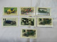 Lot Van 7 Chromo's Van Oldtimer Auto's - Jubilé - Rallye Des Ancêtres - Rallye Van Oude Wagens - Otros & Sin Clasificación