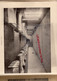 Delcampe - 87- LIMOGES- TRES RARE CATALOGUE PHOTOS ECOLE COLBERT 9 RUE DES ARGENTIERS JUIN 1933- PHOTOS DAVID VALLOIS PARIS - Documentos Históricos