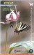 CARTE-MAGNETIQUE-JAPON-10,5--PAPILLON-LUEHDORFIA JAPONICA-TBE- - Vlinders