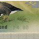 Finland 2001, Bird, Birds, Geese, ATM, 1v With Receipt, MK4.80, MNH** - Oies