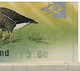 Finland 2000, Bird, Birds, Geese, ATM, 1v With Receipt, MK3.60, MNH** - Oies