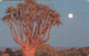 Namibia, NMB-075, Sunset 2, Sunset In The South 2, 2 Scans. - Namibie