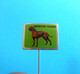 REDBONE COONHOUND - Vintage Pin * Dog Chien Hund Cane Perro Cao Hond COONHOUND ROJO - Animaux