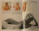 Delcampe - MARILYN - A HOLLYWOOD LIFE By ANN LLOYD - Collectible Souvenir Book - 1950-Hoy