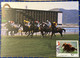 MACAU - 1990  GAMES WITH ANIMALS ISSUE SET OF 4 MAX CARD (CANCEL - FIRST DAY) - Cartes-maximum