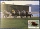 MACAU - 1990  GAMES WITH ANIMALS ISSUE SET OF 4 MAX CARD (CANCEL - FIRST DAY) - Maximumkarten
