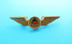DELTA (Usa) - Original Vintage Pilot Wings Badge * Airways Airline Air Company Pilote Atlanta, Georgia United State - Tarjetas De Identificación De La Tripulación