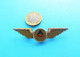 DELTA (Usa) - Original Vintage Pilot Wings Badge * Airways Airline Air Company Pilote Atlanta, Georgia United State - Distintivi Equipaggio