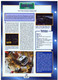 C2/ FICHE CARTONNE CAMION SERIE TRACTEUR CABINE SUEDE 1998 VOLVO FH12 GLOBETROTT - LKW