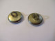 2 Boutons Anciens/ Banque/ Uniforme/Comptoir National D'Escompte De Paris / C N E P /1,6 Cm/ Vers 1960          BOUT233 - Boutons