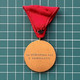 Medal Plaque Plakette PL000169 - Feuerwehr Firemen Fireman Vatrogasci Yugoslavia Croatia DVD Savez Hrvatske Association - Pompiers