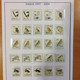 Irlande Lot De 72 Timbres Différents (dentelure, Valeur Faciale) Oiseaux De 1997 à 2004 - Used Stamps