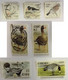 Irlande Lot De 72 Timbres Différents (dentelure, Valeur Faciale) Oiseaux De 1997 à 2004 - Used Stamps