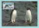 BAT 1992  Mi.Nr. 194 , Adelie Penguin - WWF Maximum Card - First Day 20.OCT 92 - Cartes-maximum