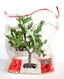 BUSCH - ARBRE FRUIT CHENE CHATAIGNIER N°650 DECOR PAYSAGEMINIATURE HO 11cm, NEUF - MODELISME FERROVIAIRE  (1712.67) - Décors