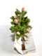 BUSCH - LOT De 3 ARBRE FLEUR, FRUIT FEUILLE MOUSSE DECOR PAYSAGE H:6cm MINIATURE - MODELISME FERROVIAIRE  (1712.74) - Decoración