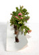 Delcampe - BUSCH - LOT De 3 ARBRE FLEUR, FRUIT FEUILLE MOUSSE DECOR PAYSAGE H:6cm MINIATURE - MODELISME FERROVIAIRE  (1712.74) - Décors