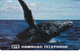 TARJETA DE HAWAII DE UNA BALLENA DE TIRADA 1500 (WHALE) NUEVA-MINT - Hawaï