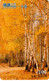 Bois Bouleaux / Birch Woods : Télécarte Chinoise 2004 - Paysages