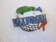 PIN'S   VOLKSWAGEN  GOLF CUP   VERTE - Volkswagen