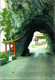 (3 N 30) Japan -  Temple ? In Mountain - Buddhism