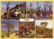 Indigenous Plants Of Namibia - Posted 1998 W Leopard Stamp - Namibie