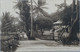 C. P. A. : GUYANE : CAYENNE : Paysage Et Cocotiers, Chalet Du Gouverneur, Timbre En 1936 - Cayenne