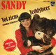 * 7" *  SANDY - TOT ZIENS TEDDYBEER (Holland 1979) - Autres - Musique Néerlandaise