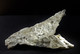 Gypsum ' Fer De Lance '  (12 X 5.5 X 1 Cm ) Old Gypsum Quarries - Meaux - Ile-de-France, France - Minéraux