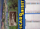 Livre PACA - Calendrier Société RICARD (avec Une Photo Camargue) 1982 - Big : 1981-90