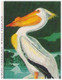 Ovenbird Golden Crowned Thrush Bird, Flamingo, Blue Heron, Brown Pelican, Birds, Bird, Animal, Audubon Guinea Bissau FDC - Pélicans