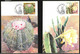 BRAZIL(1983) Cacti. Set Of 3 Maximum Cards With Illustrated Cancel. Scott Nos 1880-2, Yvert Nos 1622-4. Beautiful! - Maximumkarten