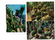 Lot 6 Cpm - MONACO  MONTE CARLO - Jardin Exotique - Cactus - Cactus