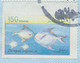 IRAQ 2001, Fish 25D, 50D And 150D Together With Football 25D On Superb Registered Airmail Cover, MAJOR ERROR & VARIETY: - Irak