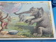 Carte Image Chromo Chocolat Poulain -Afrique - Le Progrès - Éléphant Et Pygmée- Épatant !! - Humour - Chocolate