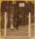 PP-0125 Bourg-Léopold  Camp De Béverloo - Allée Des Soupirs - Leopoldsburg (Kamp Van Beverloo)