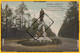 PP-0134 BOURG-LÉOPOLD - CAMP DE BÉVERLOO  Monument Et Avenue Chazal - Chazal Denkmaal En Laan - Leopoldsburg (Kamp Van Beverloo)