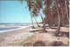 Trinidad (Antille, W.I.) Manzanilla Bay, Beaches On The East Coast, Plages, Spiaggie - Trinidad