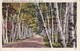 1947252Shelburne Memorial Highway, White Mts., 1961 - White Mountains